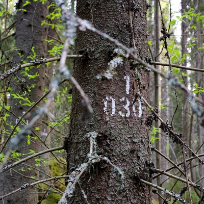 Marteloskooppi, Joensuun metsäntutkimusyksikkö.